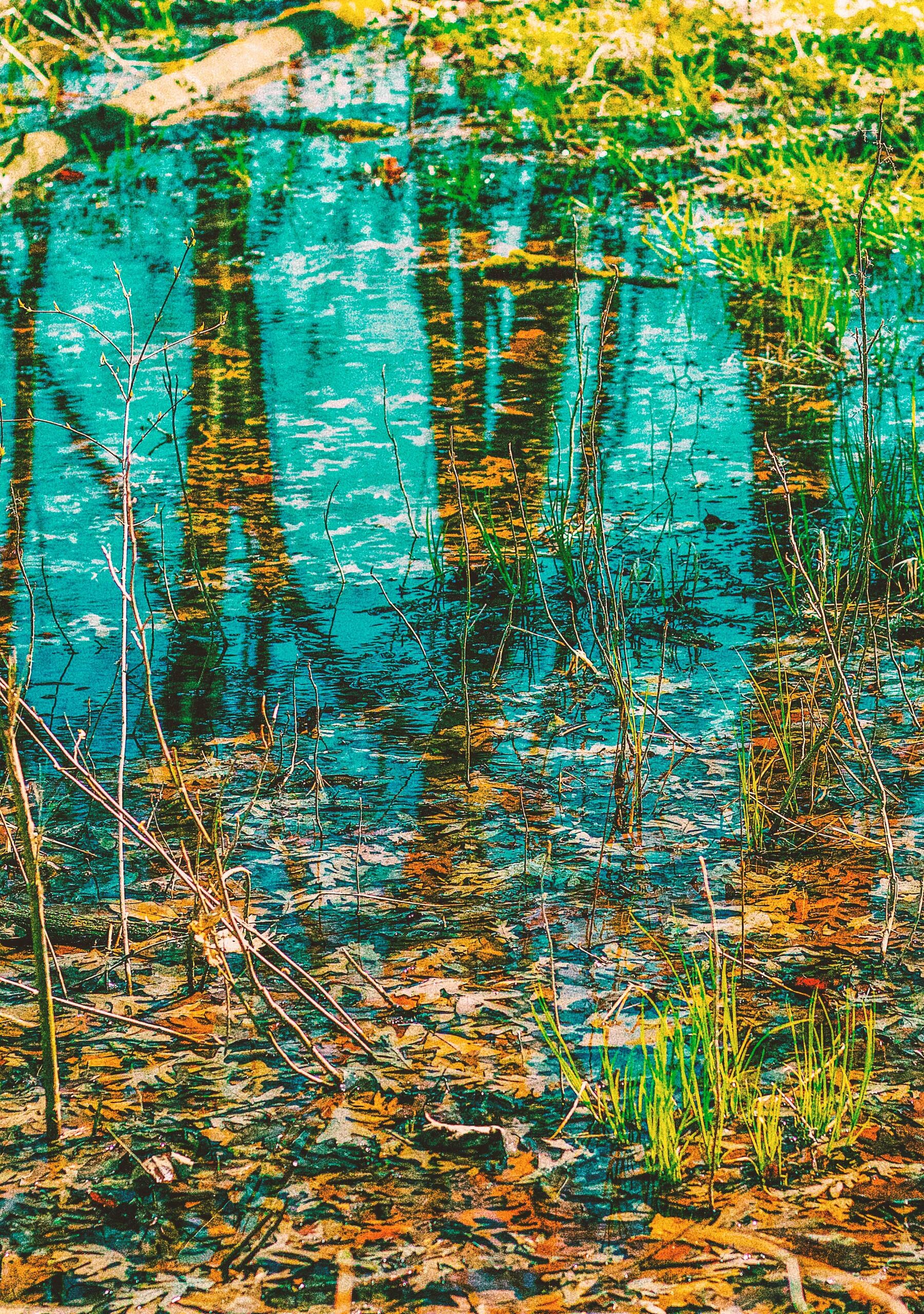 Bäume spiegeln sich in einem See