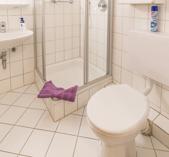 Badezimmer mit Toilette und Dusche-Am Altenhof Whg. 5 - Ferienhaus / Ferienwohnung Büsum -  8