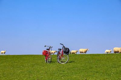 Büsum Fahrrad Urlaub Buesum_Urlaub_Fahrrad
