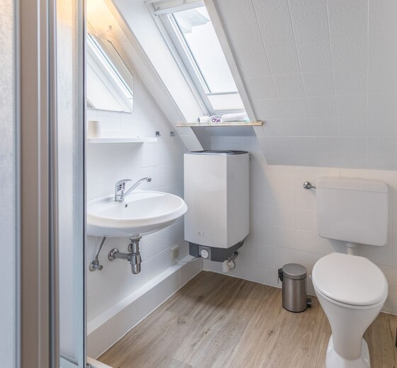 Badezimmer mit Toilette und Dusche-Annabelle Whg. 2 - Ferienhaus / Ferienwohnung Büsum -  13