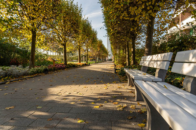 Eine schöne Parkanlage mit Spielplatz und Bänken im Herbst