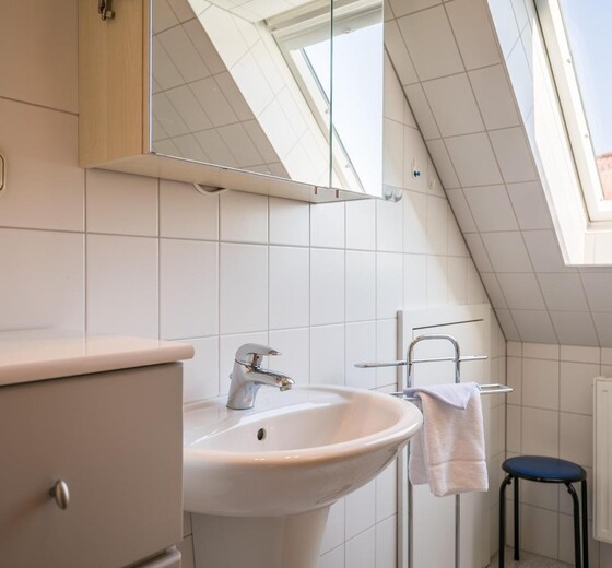 Badezimmer mit Toilette und Dusche-Haus Marlies - Ferienhaus / Ferienwohnung Büsum -  18