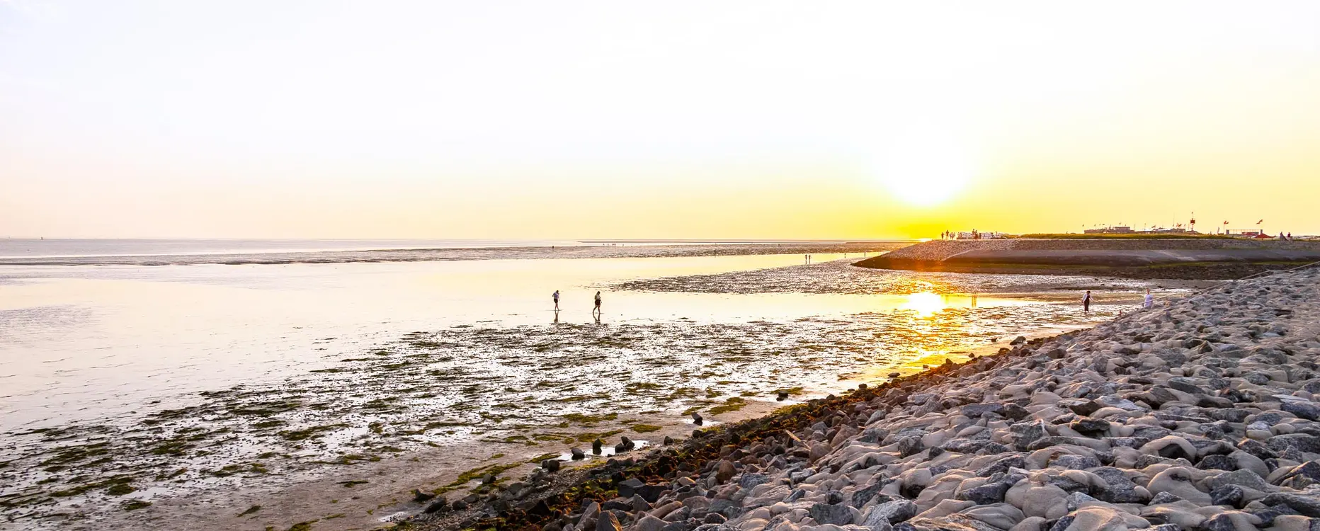 wattenmeer_vorm_deich
