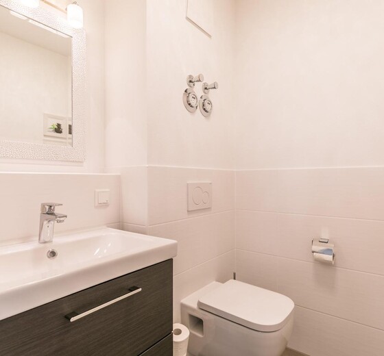 Badezimmer mit Waschbecken und Toilette-"MeerGenuss", Penthouse-WHG - Ferienhaus / Ferienwohnung Büsum -  35