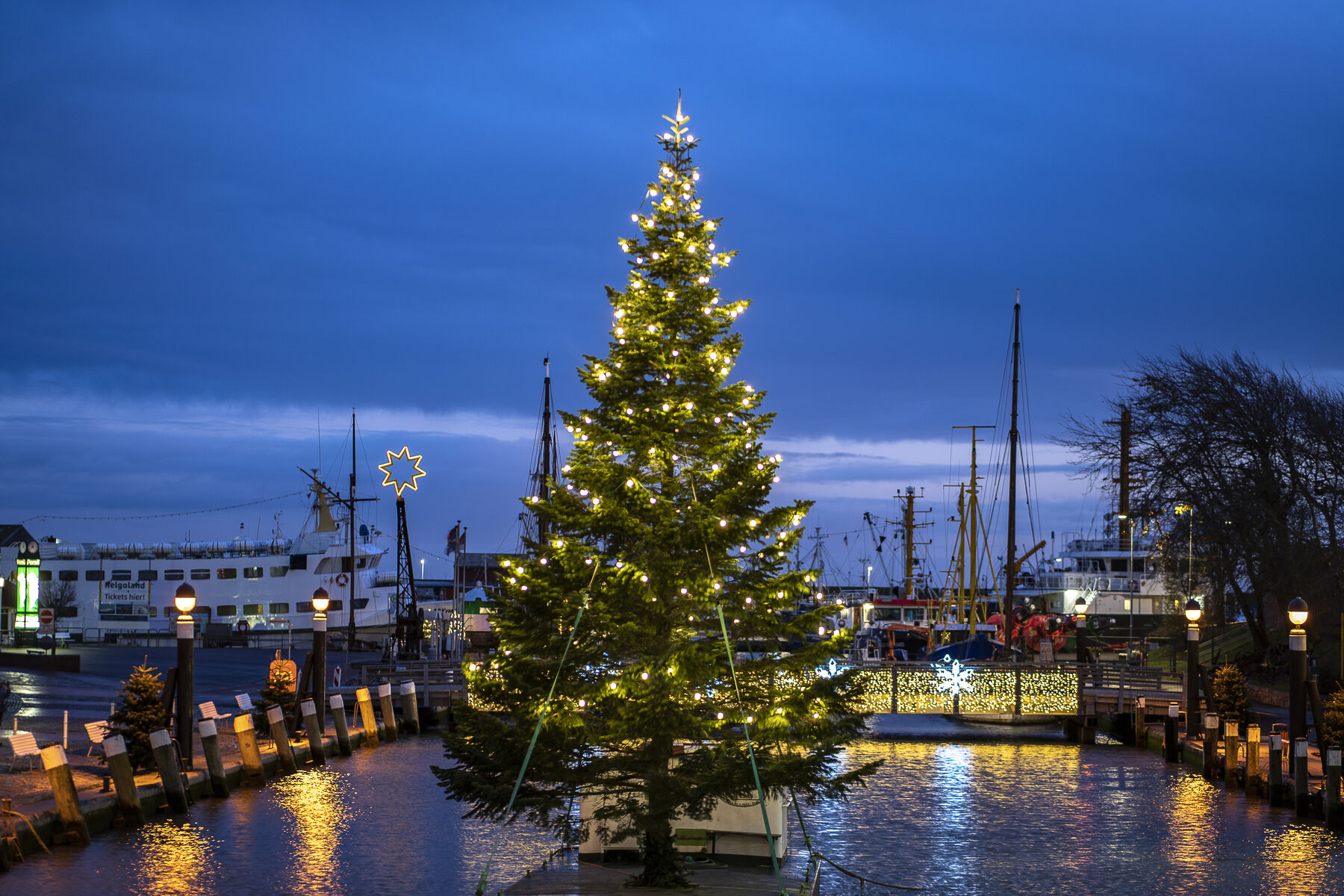 Weihnachtsbaum_am_Hafen.jpg